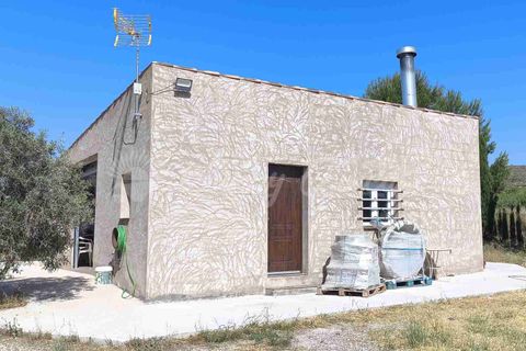 Landejendom i Caudete, Albacete, Caudete - € 165.000 | Ref: SF0576 - foto 26